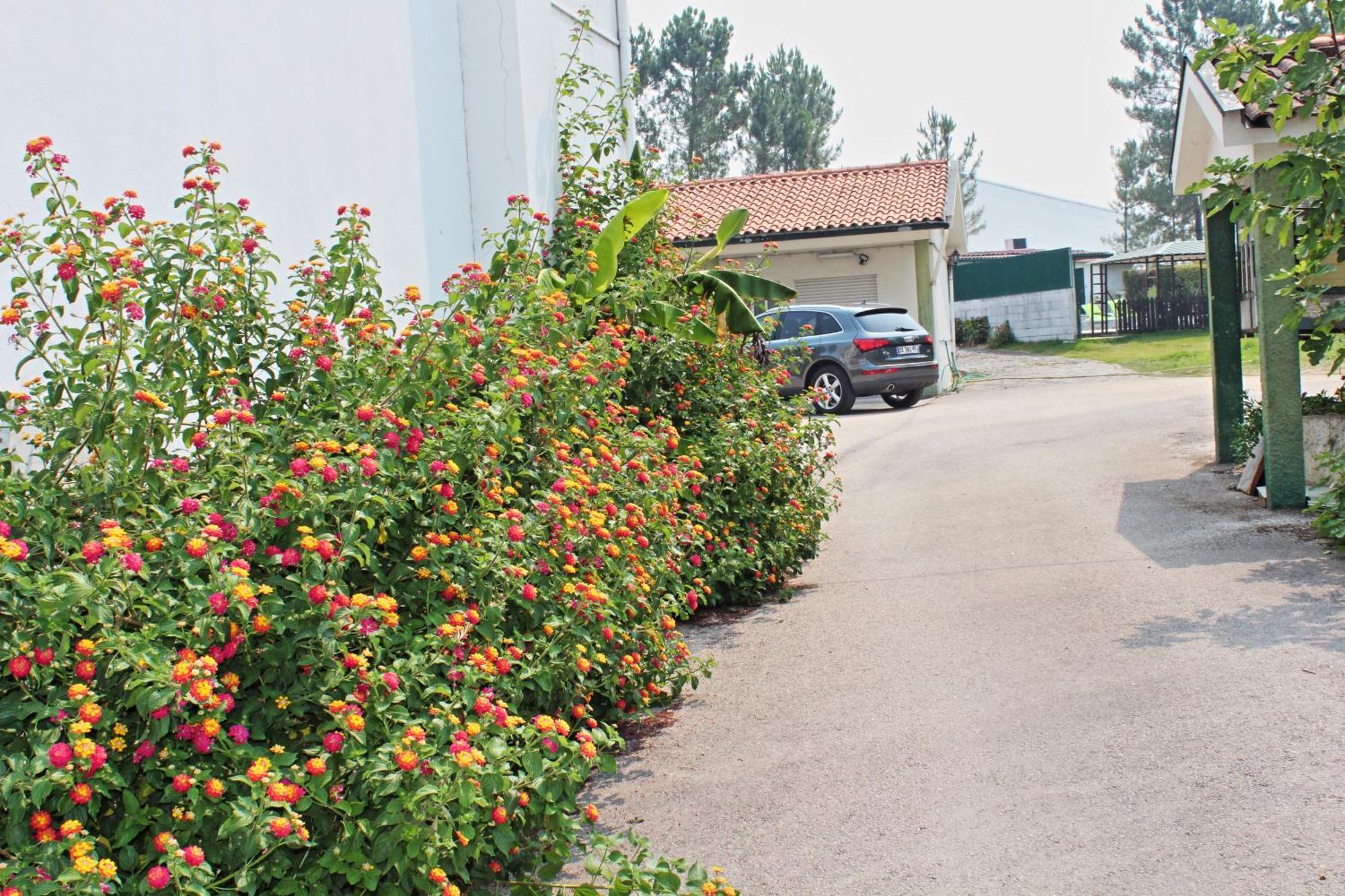 Residencial Pinho Verde Mealhada Εξωτερικό φωτογραφία
